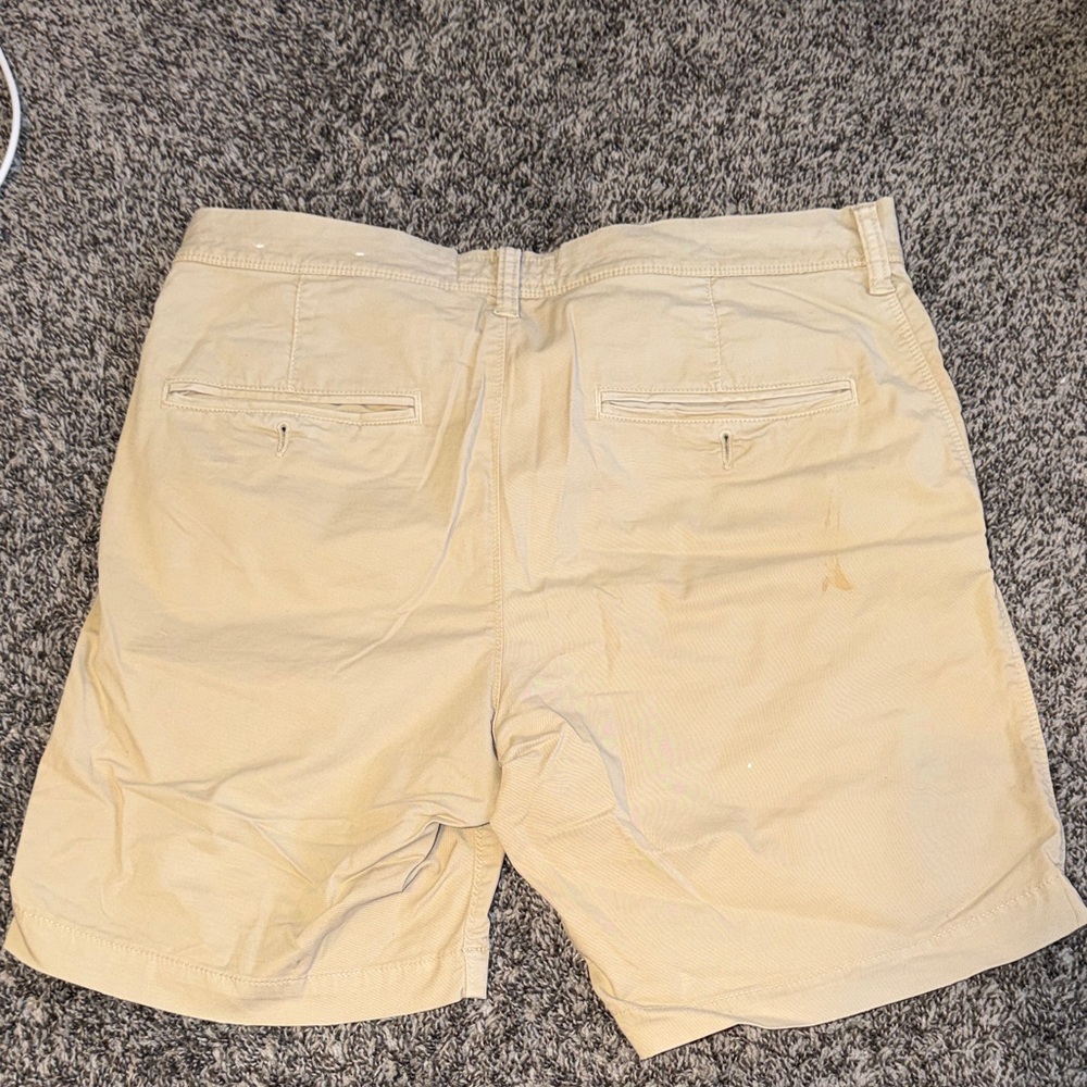 American Eagle Men’s Shorts - Picture 4 of 4